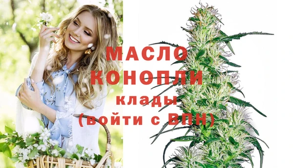 спайс Ельня