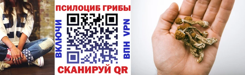 Купить закладки Заволжье Псилоцибиновые грибы ЛСД
