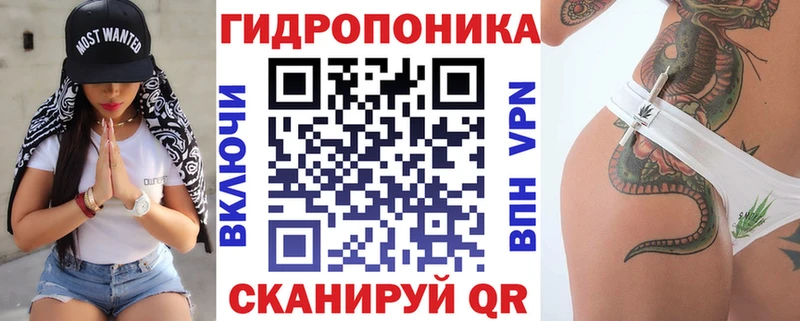 Купить где  Заволжье  Бошки марихуана OG Kush 
